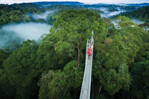 Inilah Tempat Favorite Traveler yang Datang ke Brunei Darussalam